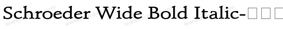 Schroeder Wide Bold Italic字体转换